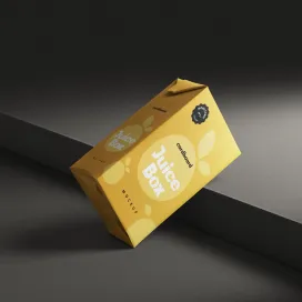 Small Cardboard Juice Box 1